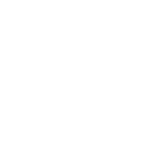 netsons
